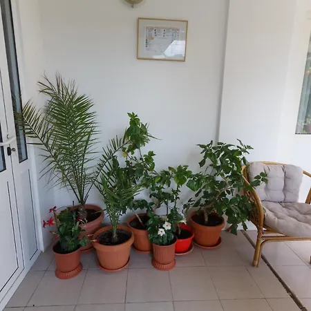 Pensiunea Adriana Costinesti