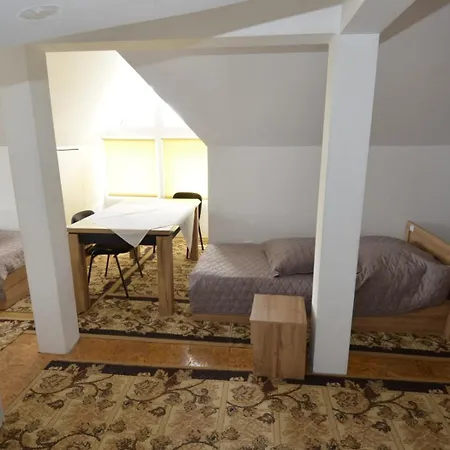 Pensiunea Adriana Maison d'hôtes 4*