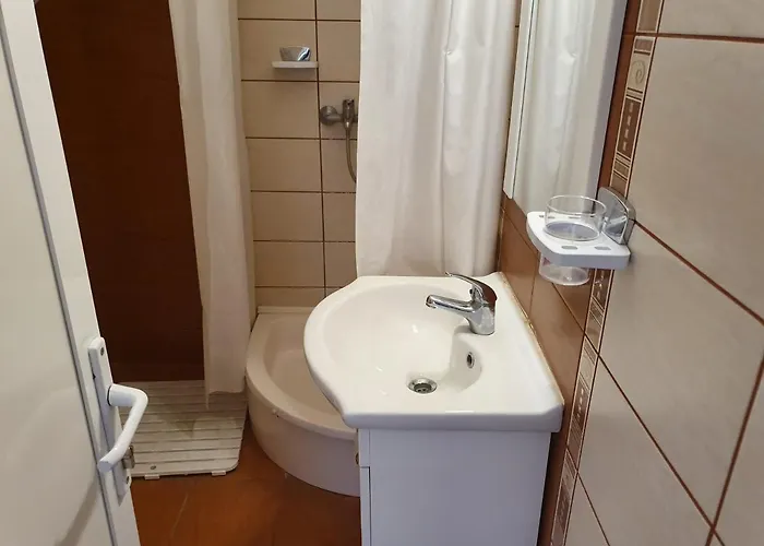 בית הארחה Pensiunea Adriana קוסטינסטי