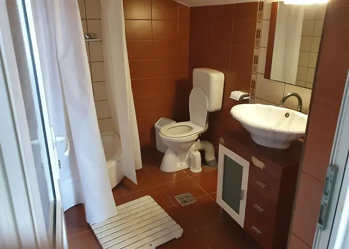 Pensiunea Adriana 3* קוסטינסטי