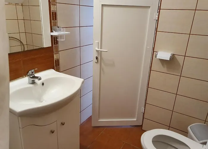 Pensiunea Adriana בית הארחה