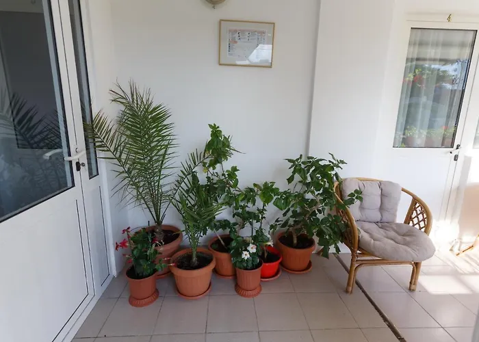 Pensiunea Adriana קוסטינסטי