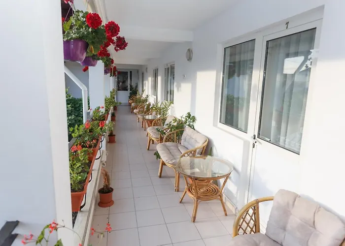 Pensiunea Adriana בית הארחה 3*