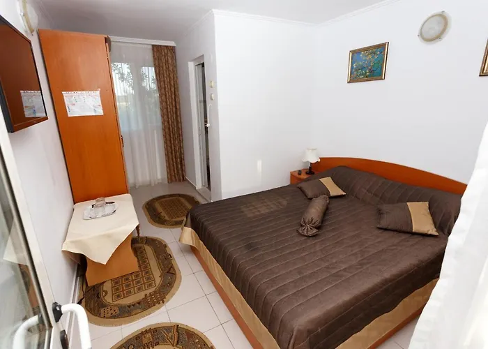 Pensiunea Adriana קוסטינסטי