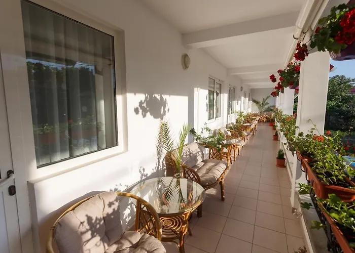 Pensiunea Adriana בית הארחה 3*