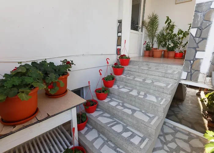 Pensiunea Adriana בית הארחה