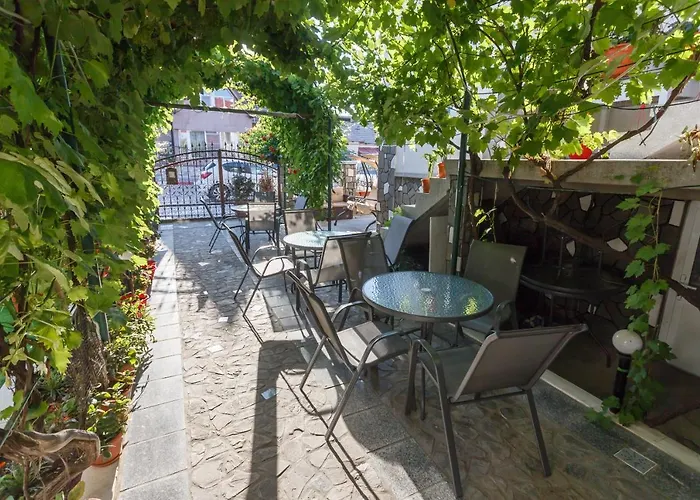 Pensiunea Adriana 3*