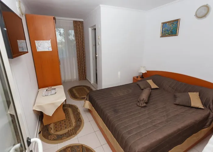 בית הארחה Pensiunea Adriana