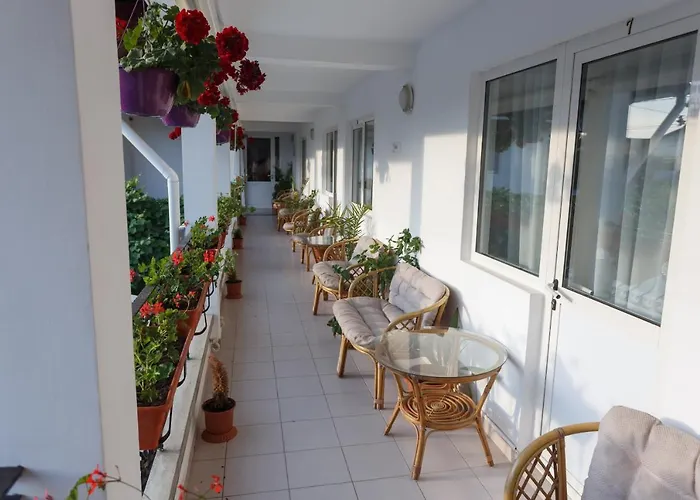 Pensiunea Adriana בית הארחה