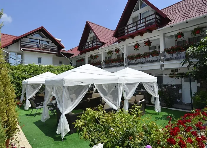 בית הארחה Pensiunea Adriana 3*