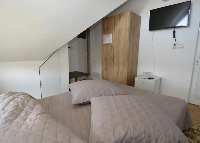 Pensiunea Adriana 3* קוסטינסטי