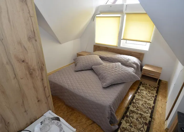 Pensiunea Adriana בית הארחה קוסטינסטי