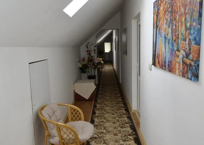 Pensiunea Adriana בית הארחה