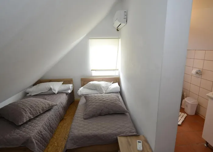 Pensiunea Adriana 3*