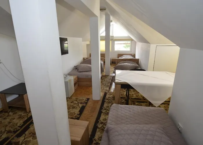 בית הארחה Pensiunea Adriana