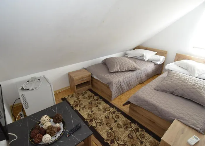 Pensiunea Adriana 3* קוסטינסטי