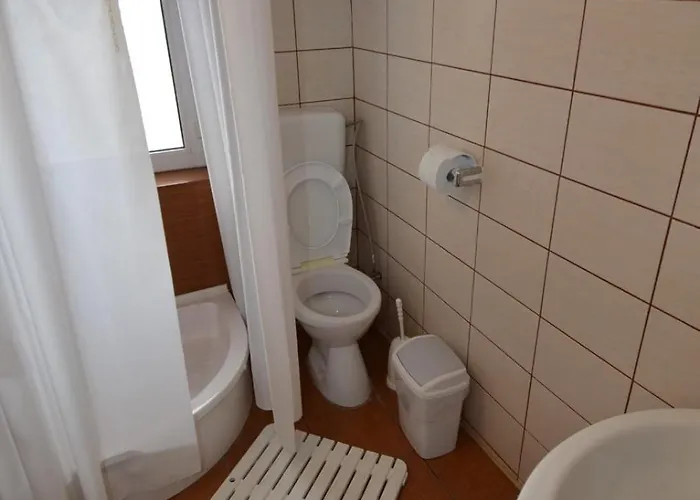 Pensiunea Adriana קוסטינסטי