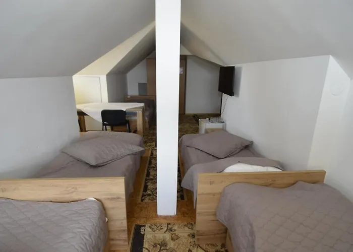 Pensiunea Adriana בית הארחה 3*