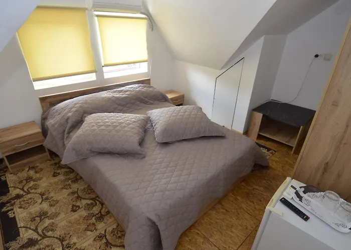 Pensiunea Adriana קוסטינסטי