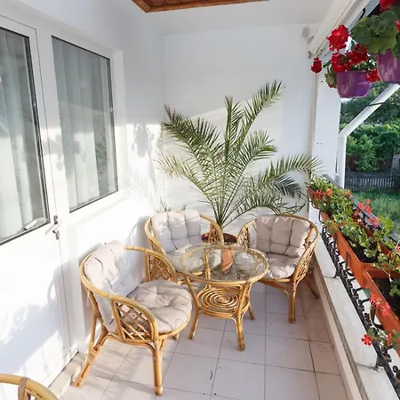 Pensiunea Adriana Guest house Costinesti