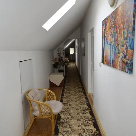 Pensiunea Adriana Guest house