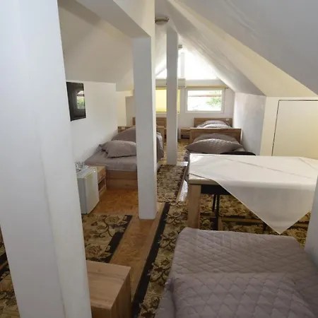 Guest house Pensiunea Adriana